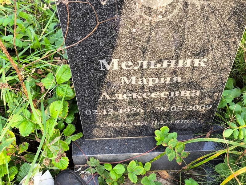 Мельник