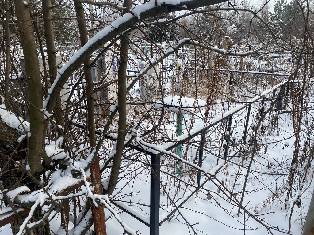 Маркова Анастасия Васильевна