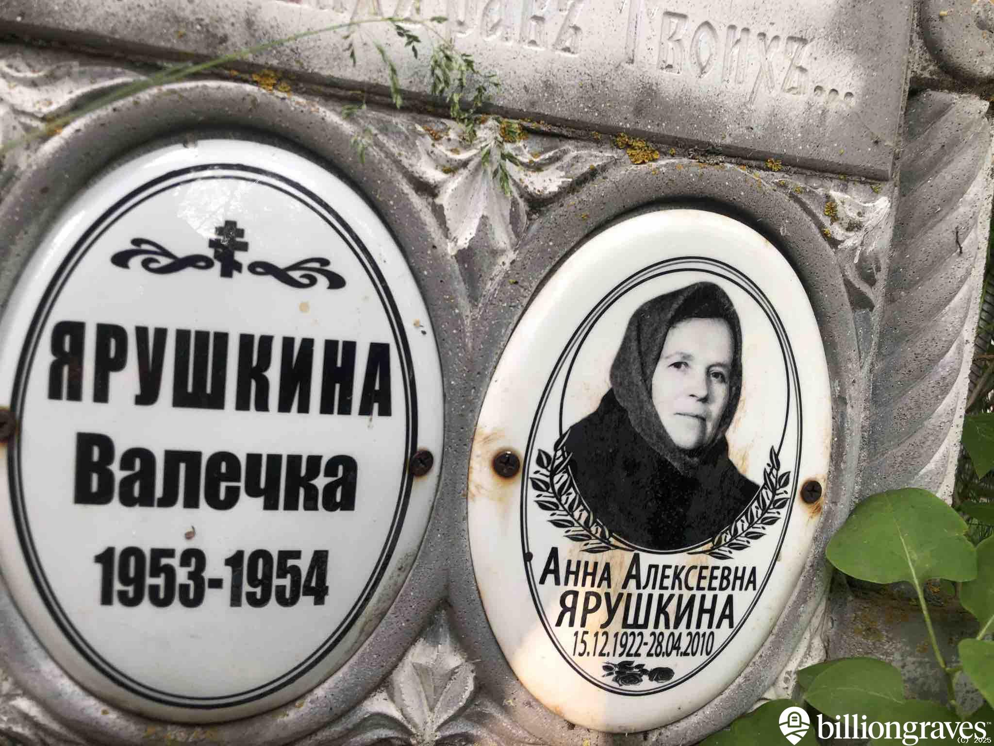 Ярушкина Анна Алексеевна