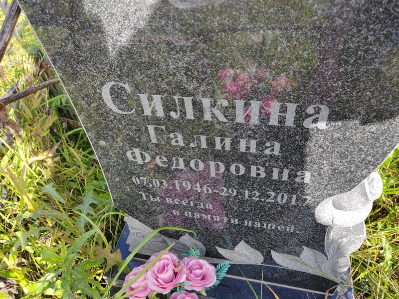 Силкина