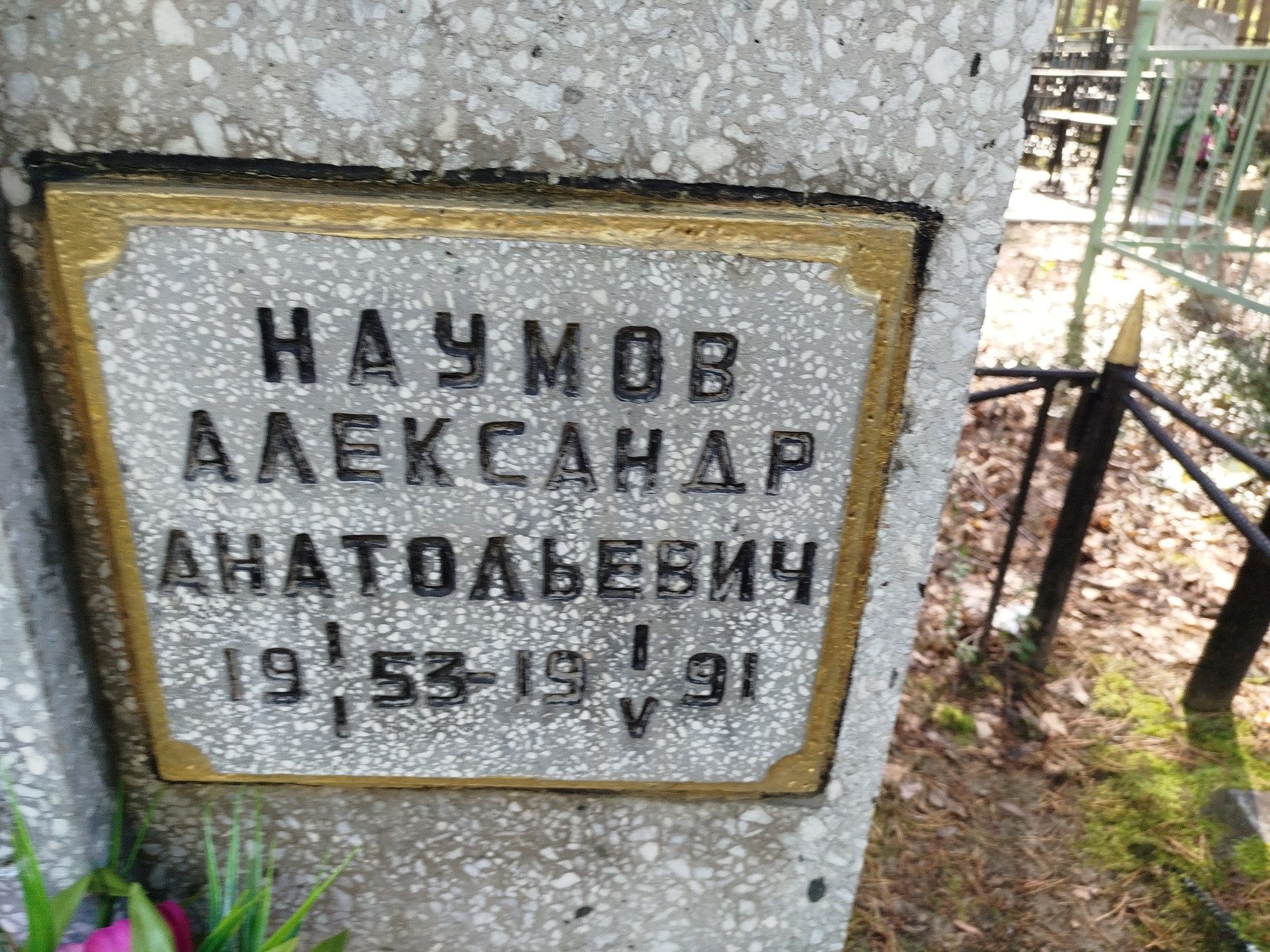 Наумов Александр Анатольевич
