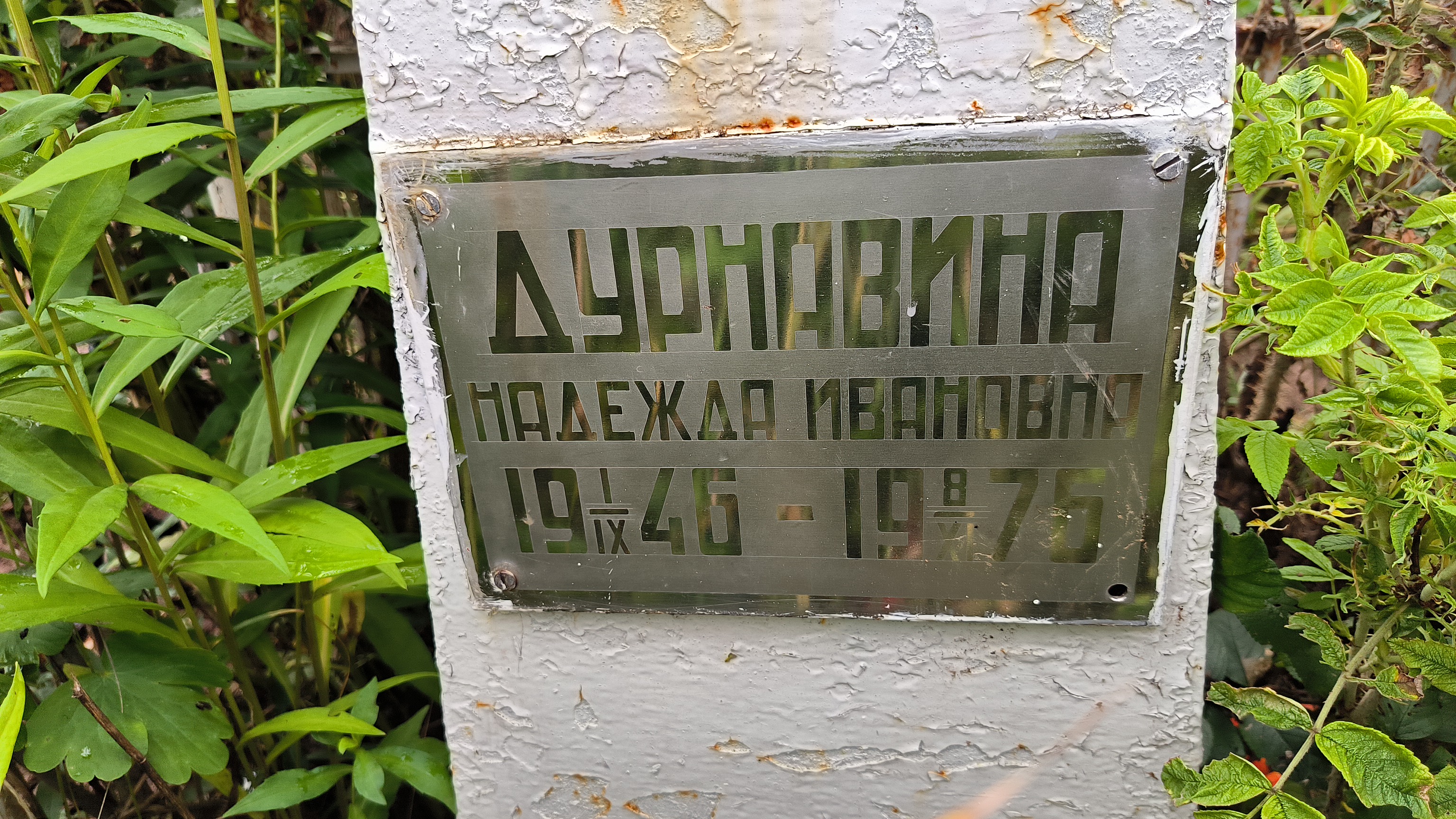 Дурнавина Надежда Ивановна