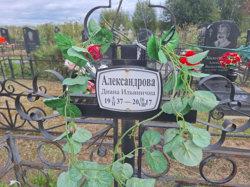 Диана Александрова Ильинична
