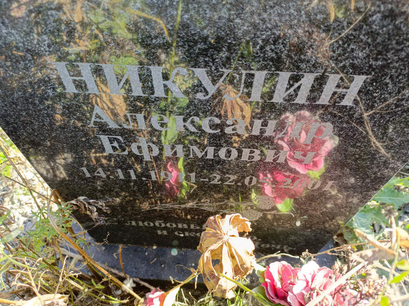 Никулин