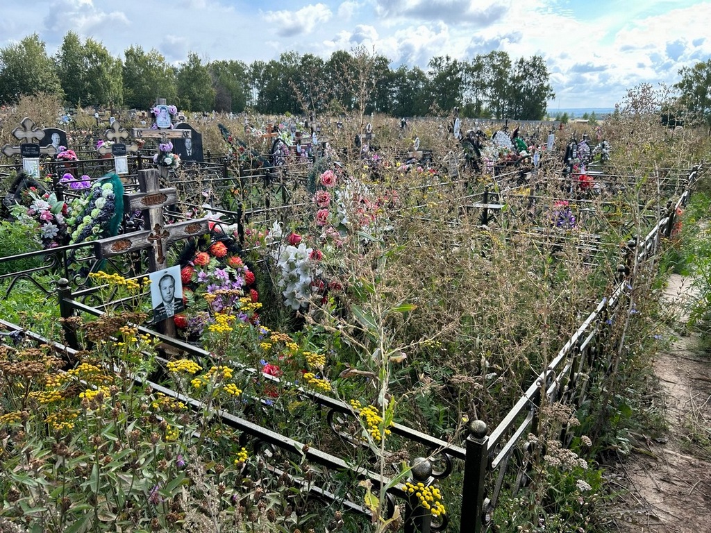 Черемушкин Виктор Александрович
