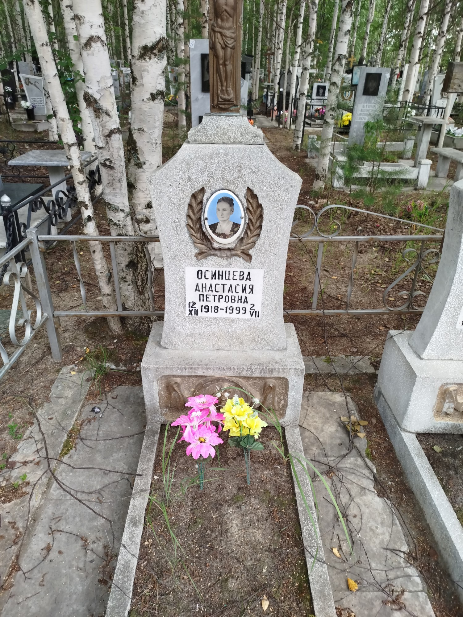 Осинцева Анастасия Петровна