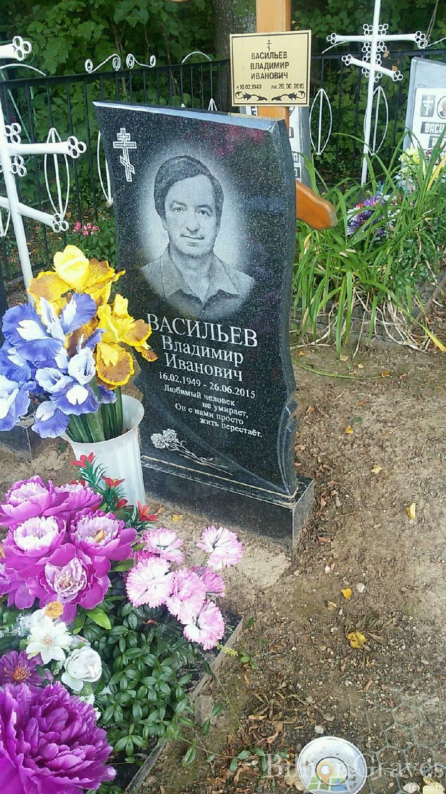 Васильев Владимир Иванович