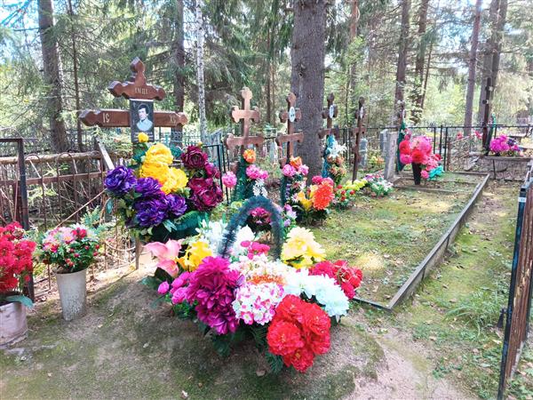 Илюшина Анна Степановна
