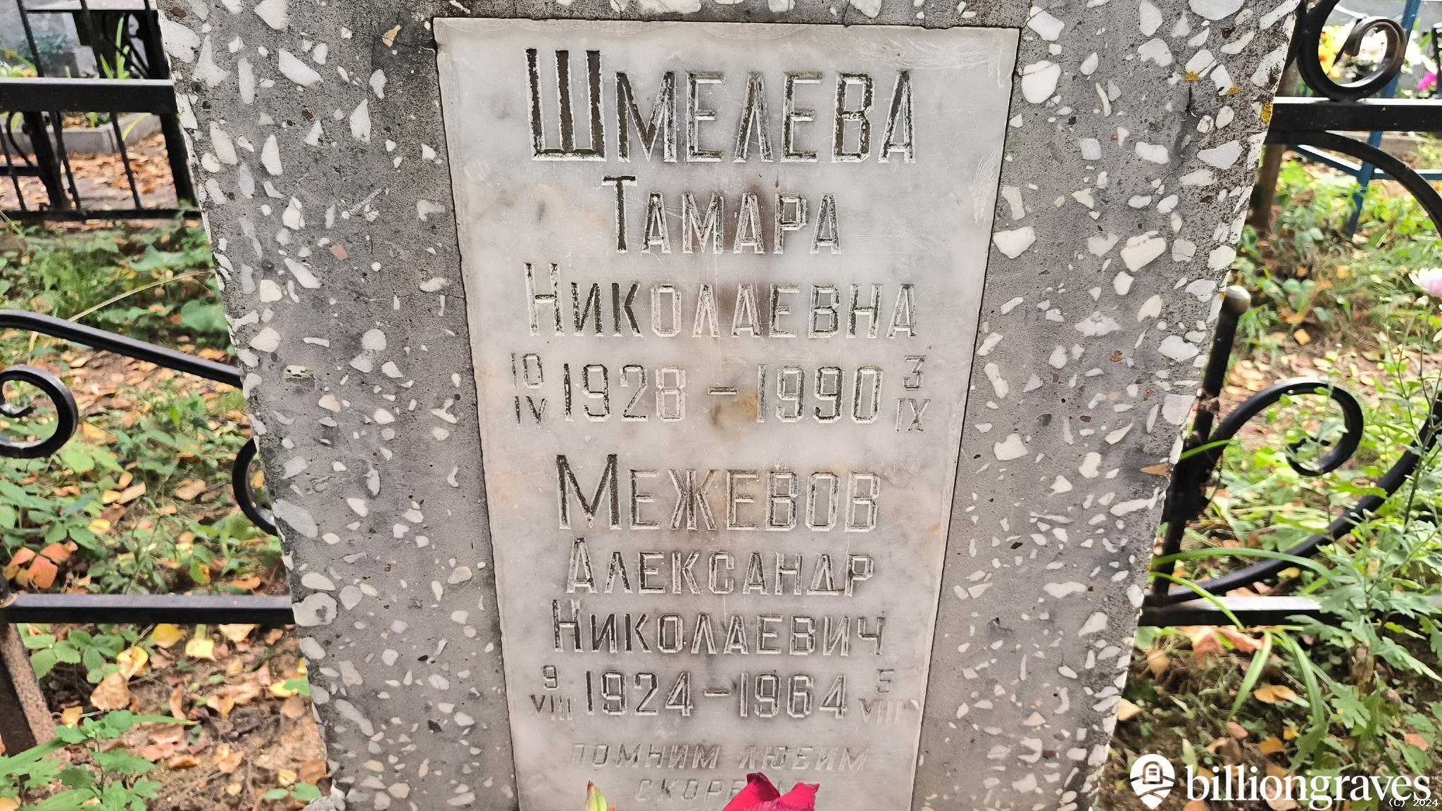 Межевов Александр Николаевич