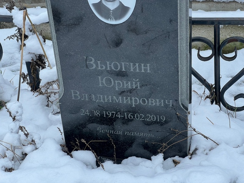Вьюгин