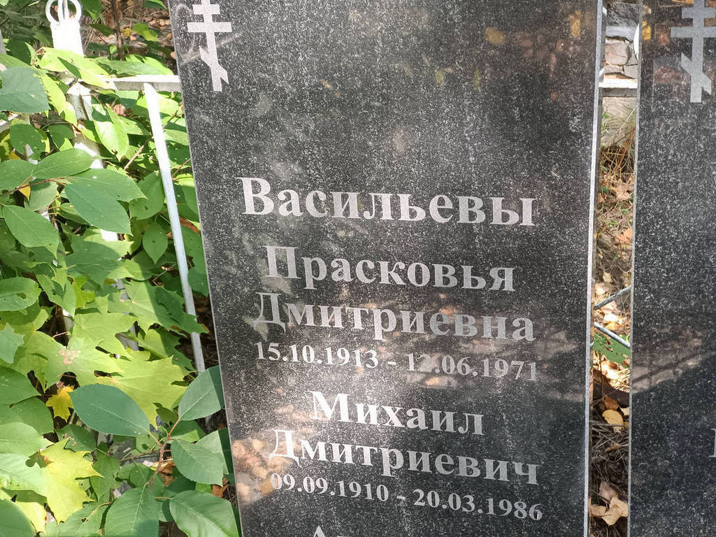 Васильева Прасковья Дмитриевна