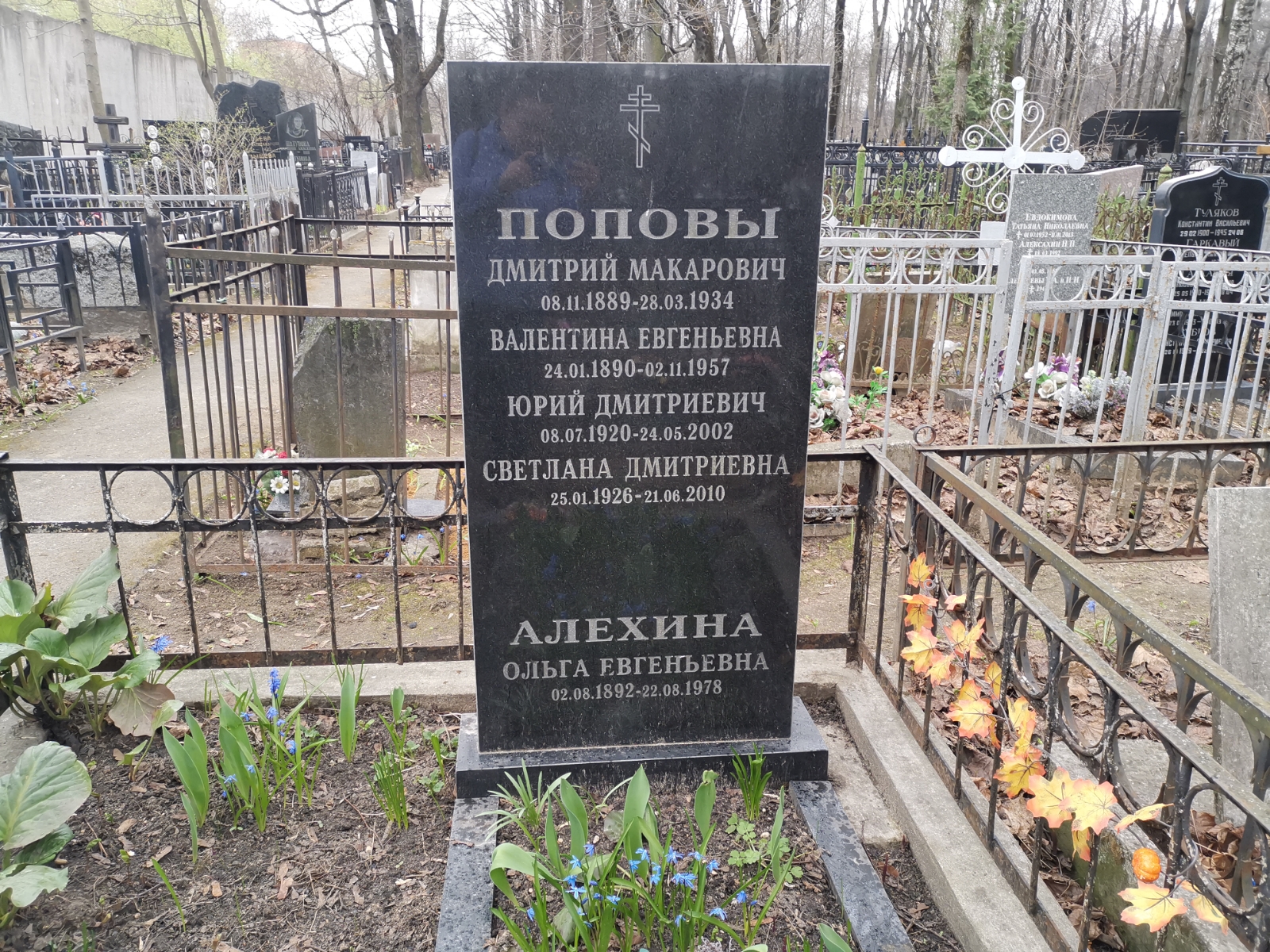 Алехина Ольга Евгеньевна