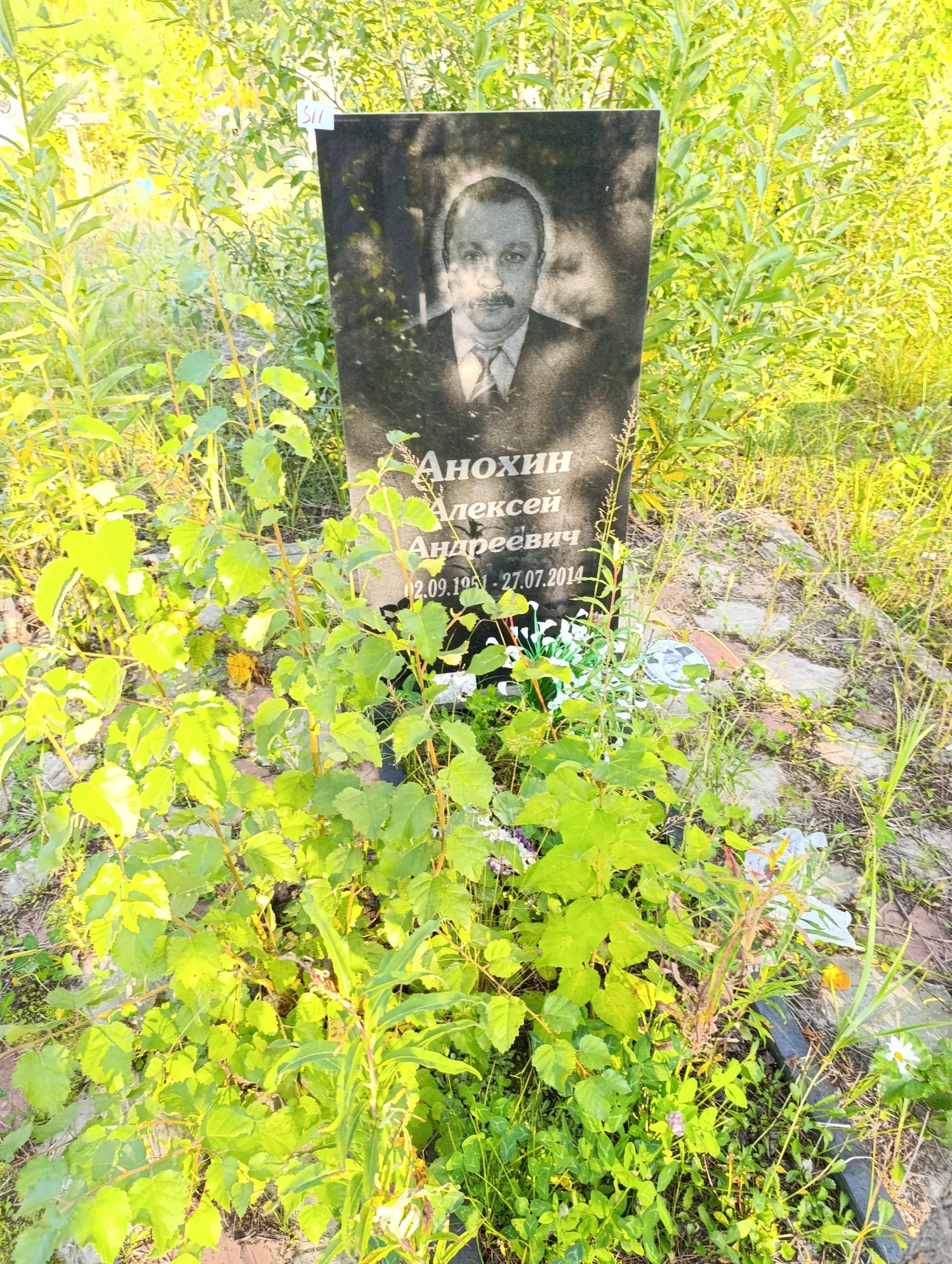 Анохин Алексей Андреевич