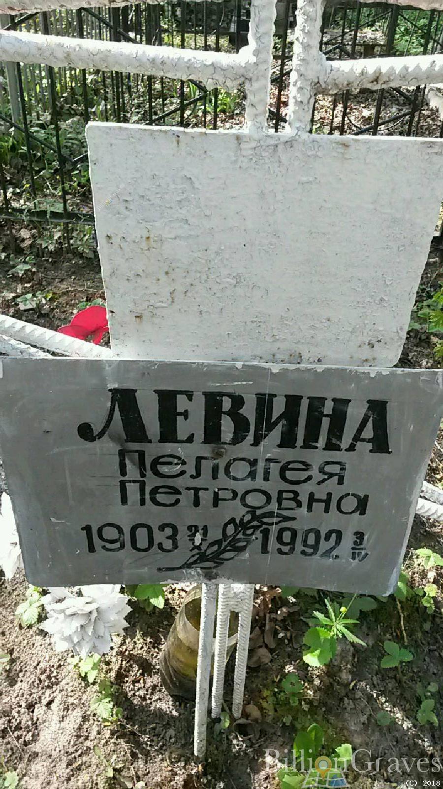 левина Пелагея петровна