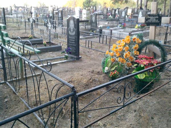 Желтобрюх Нина Евлампиевна
