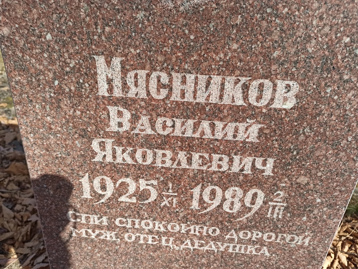 Мясников Василий Яковлевич
