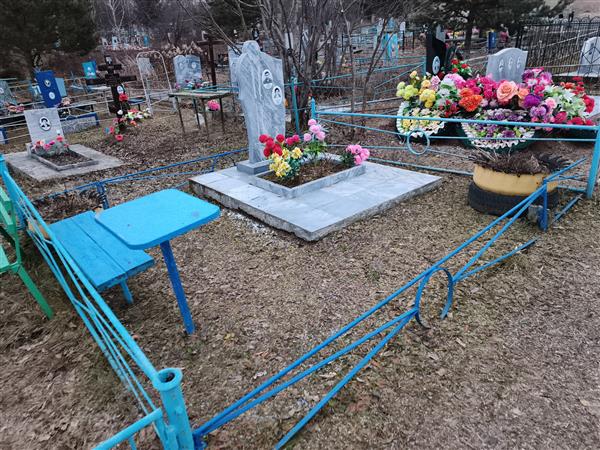 Лимонова Алла Петровна