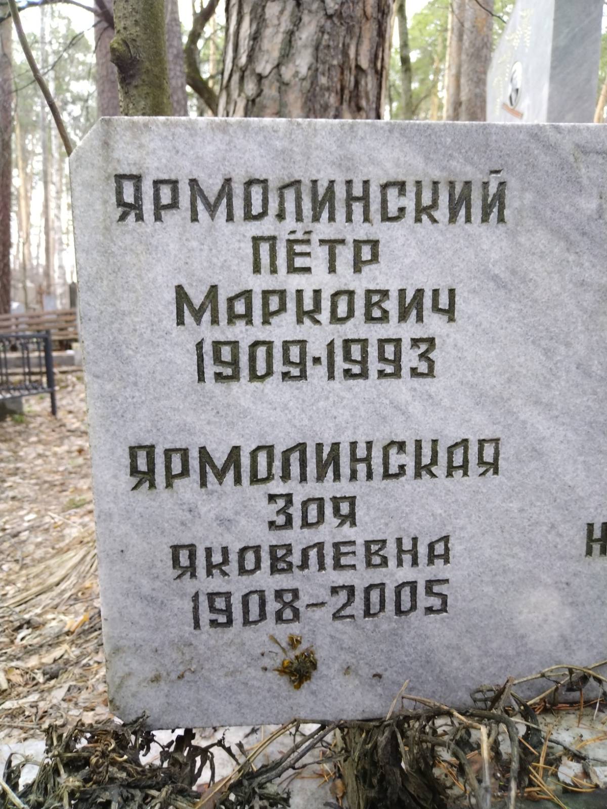 Малахина Валерия Пинхасовна