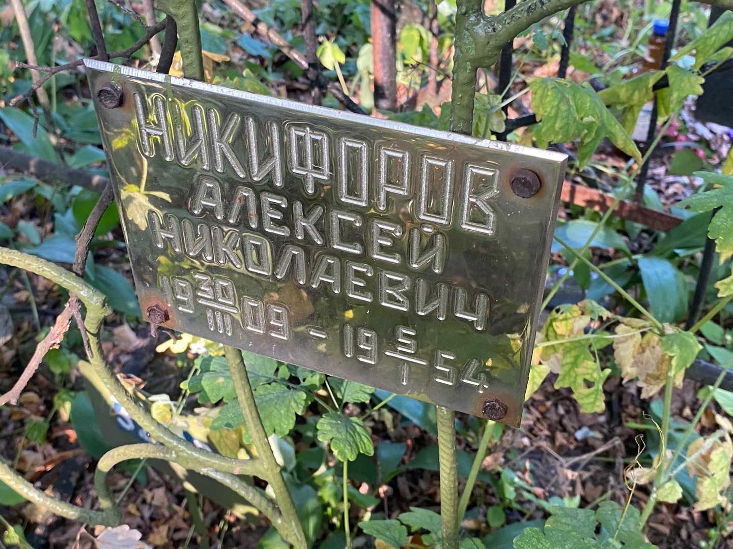 Никифоров