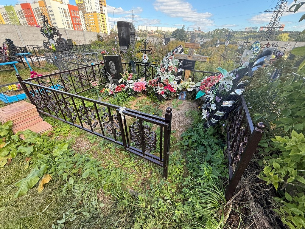 Акифьева Анна Николаевна