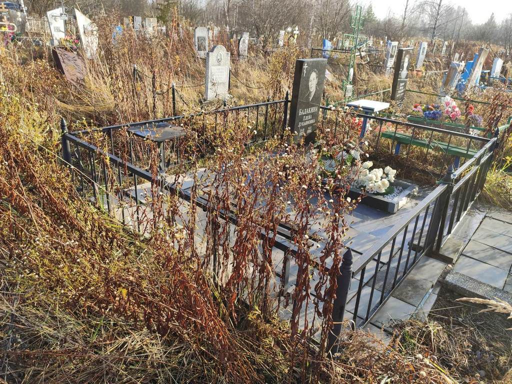 Балакина Елена Лукьяновна