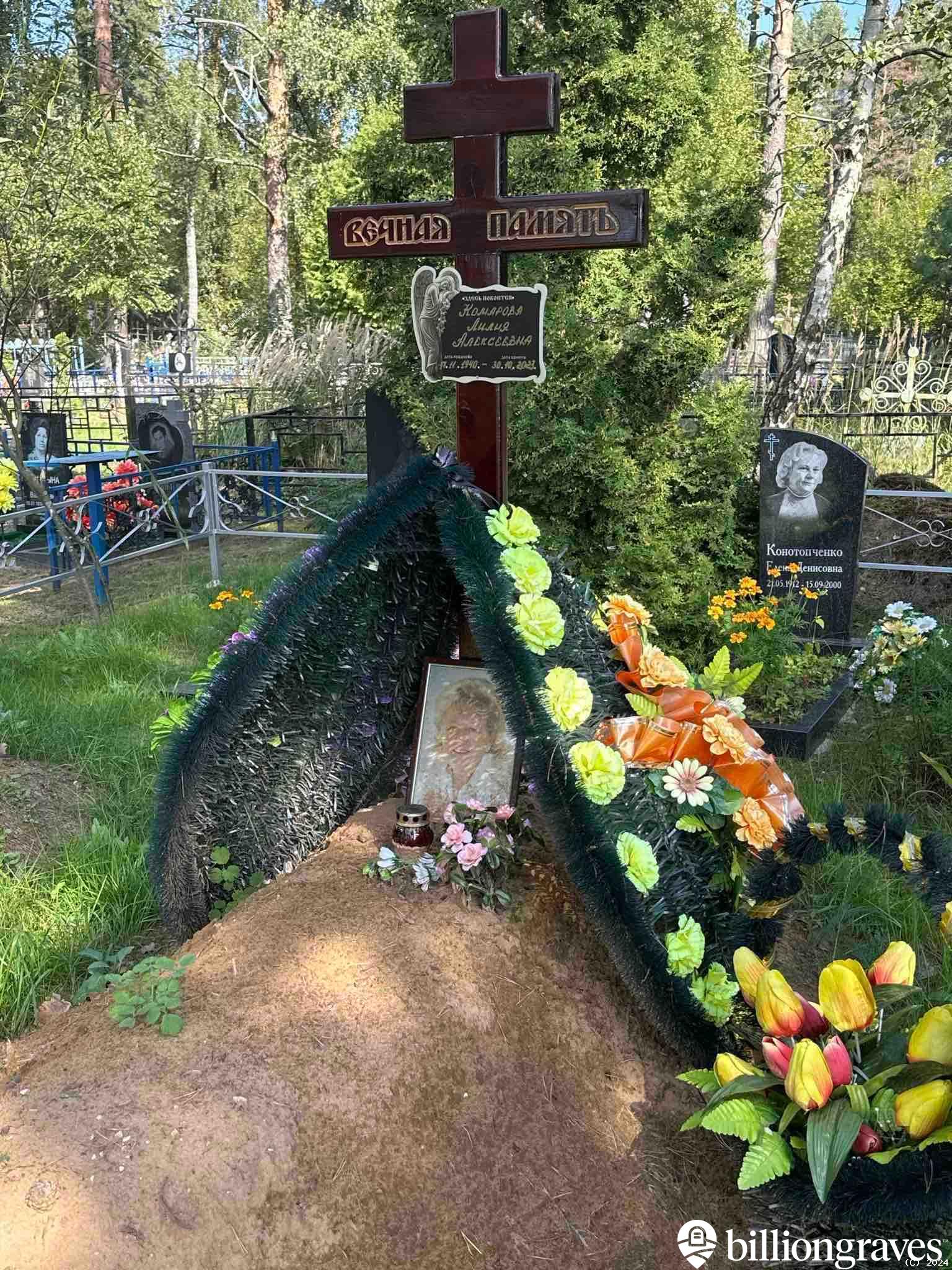 Комарова Лилия Алексеевна
