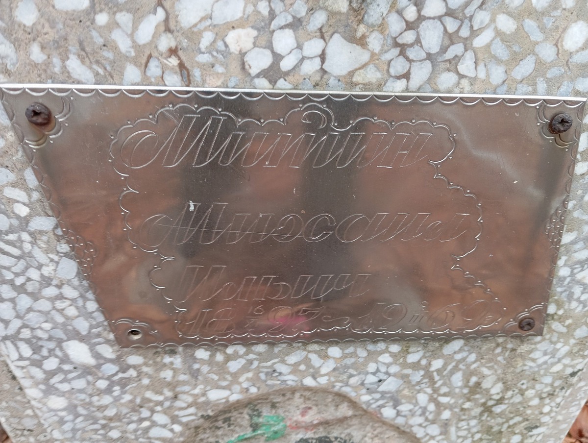 Митин Михаил Ильич