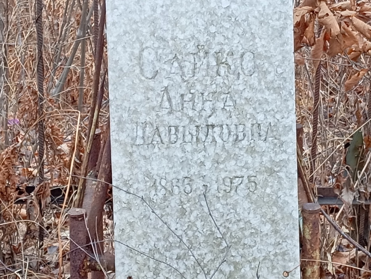 Сайко Анна Давыдовна