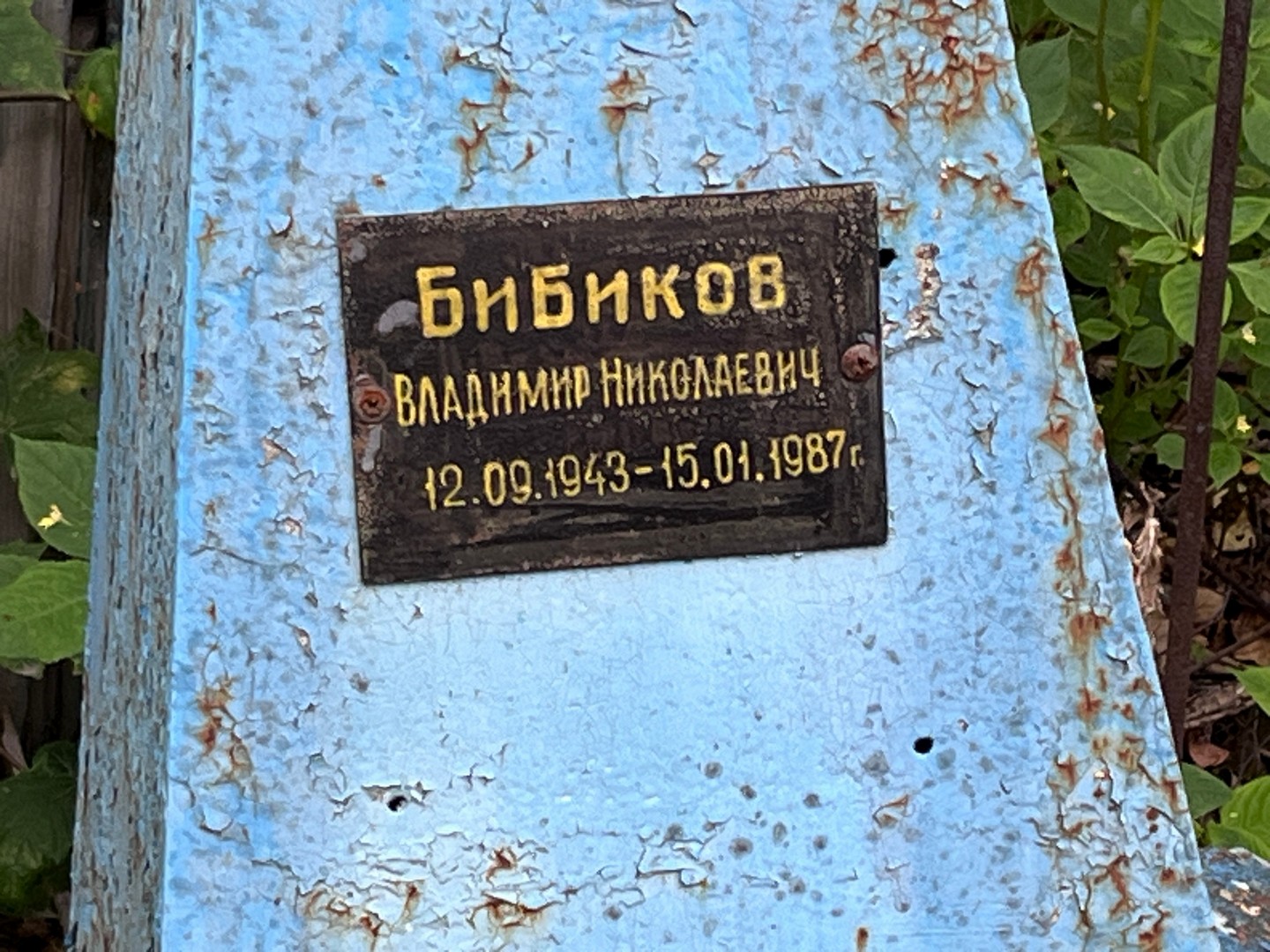 Бибиков