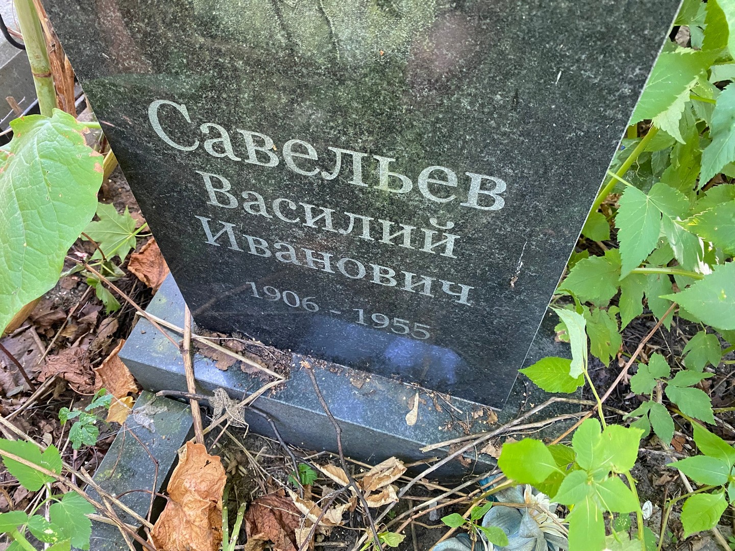Савельев