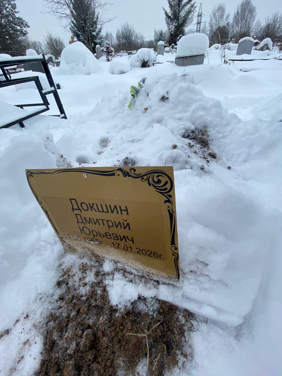 Докшин