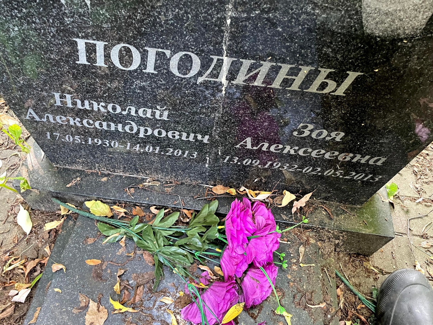 Погодин