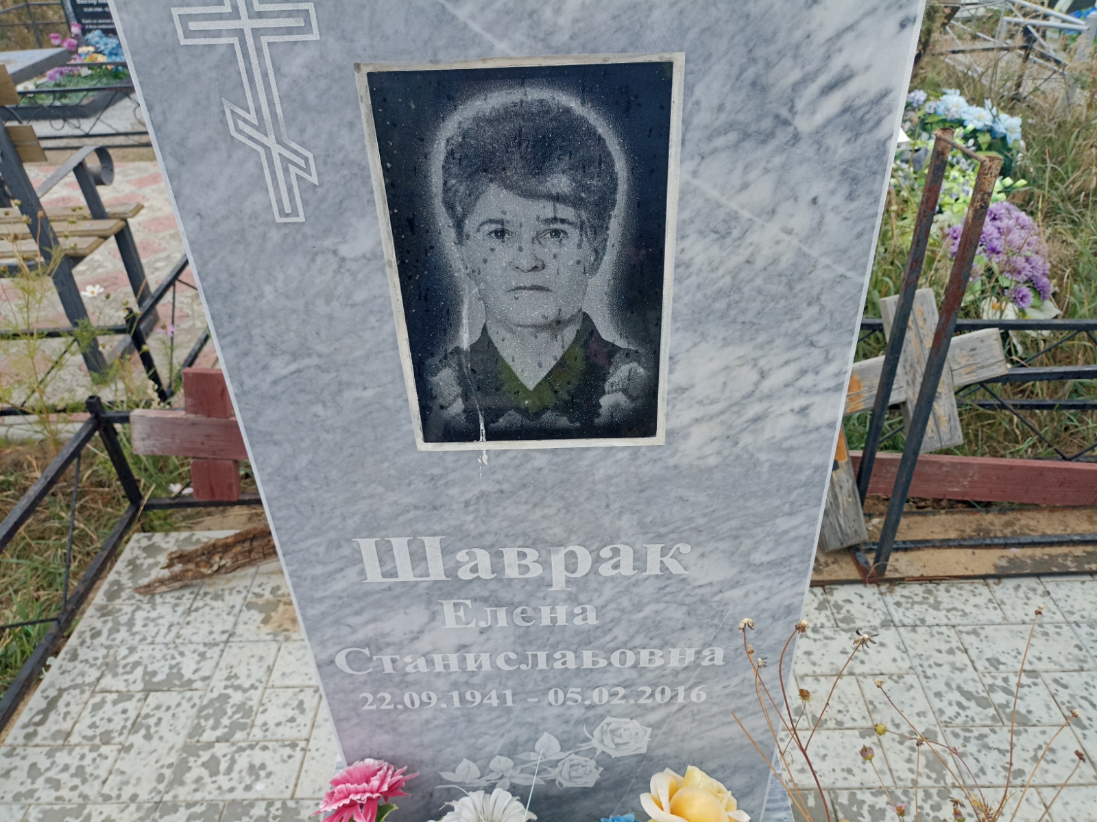 Шаврак Елена Станиславовна