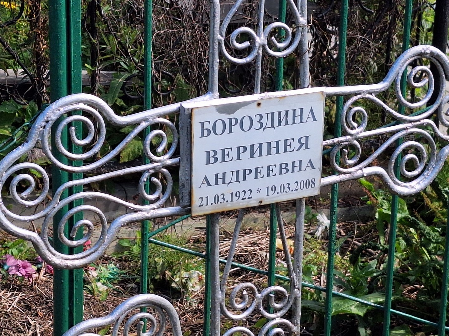 Веринея Бороздина Андреевна