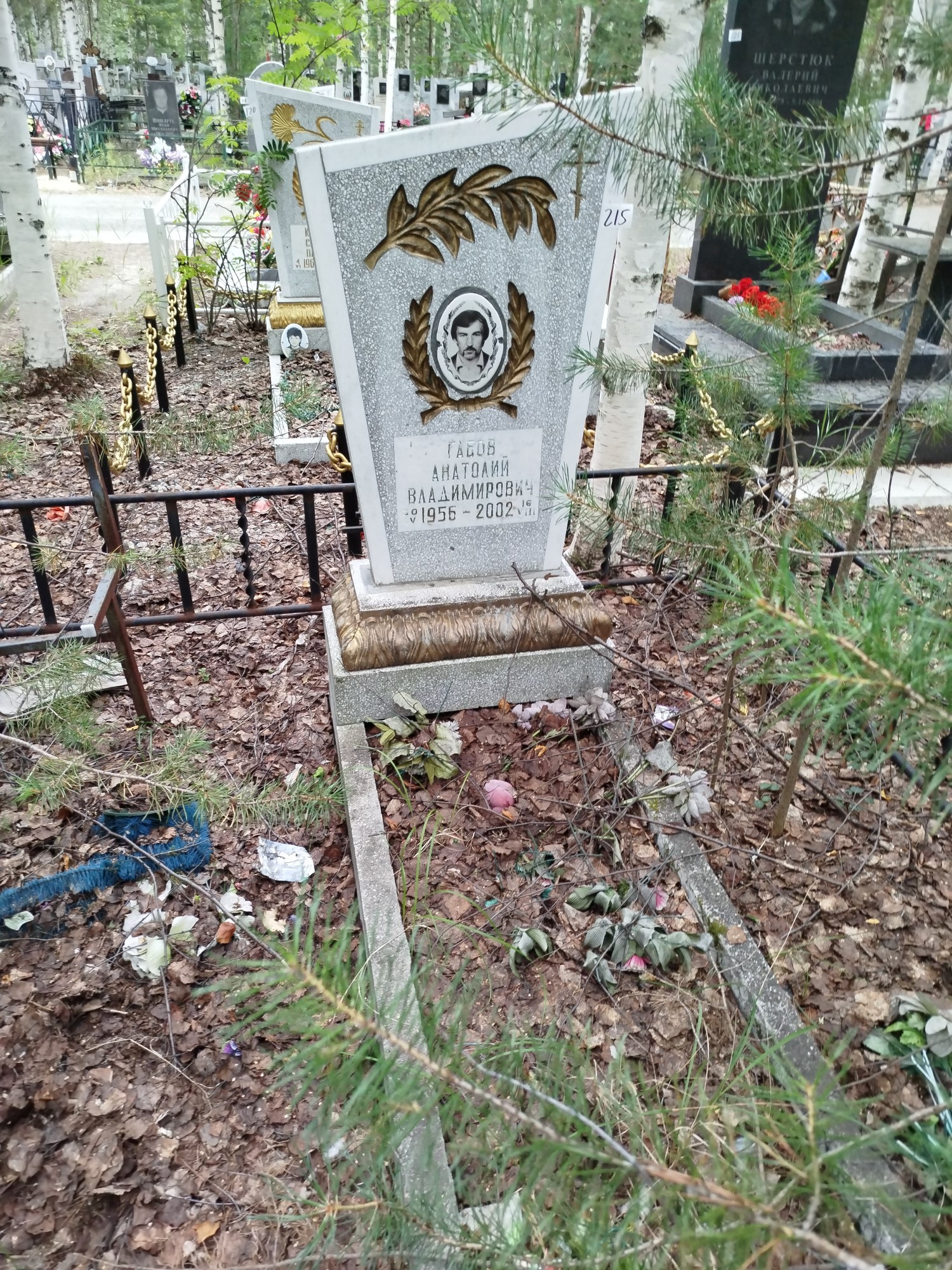 Габов Анатолий Владимирович