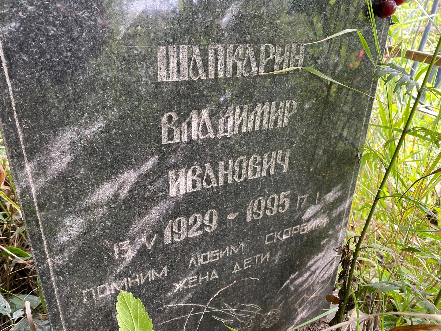 Шапкарин