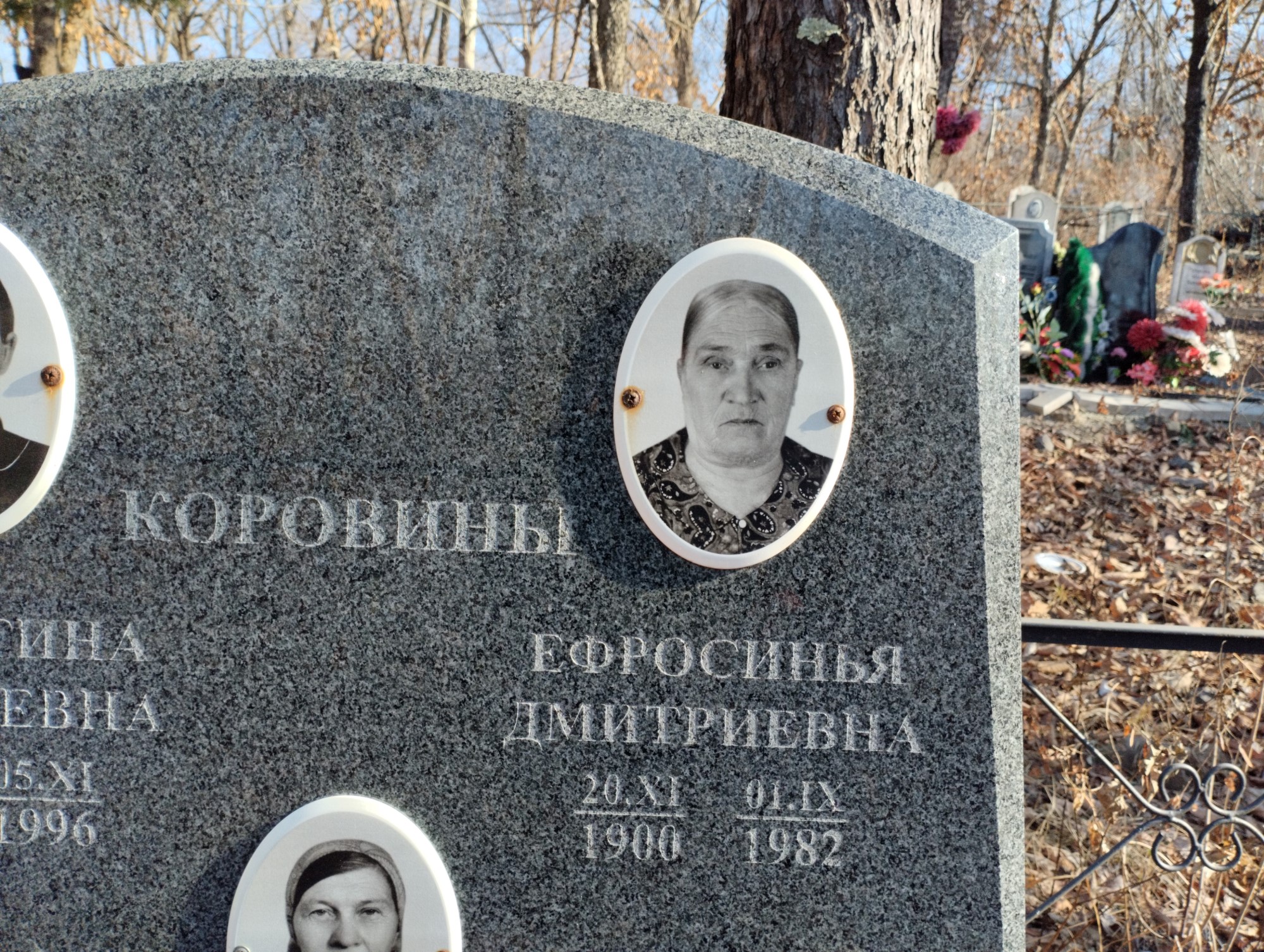 Коровина Ефросинья Дмитриевна