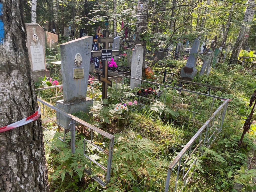 Павлинова Людмила Федоровна