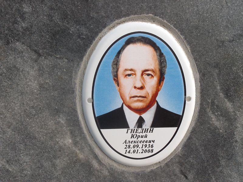 Гнедин