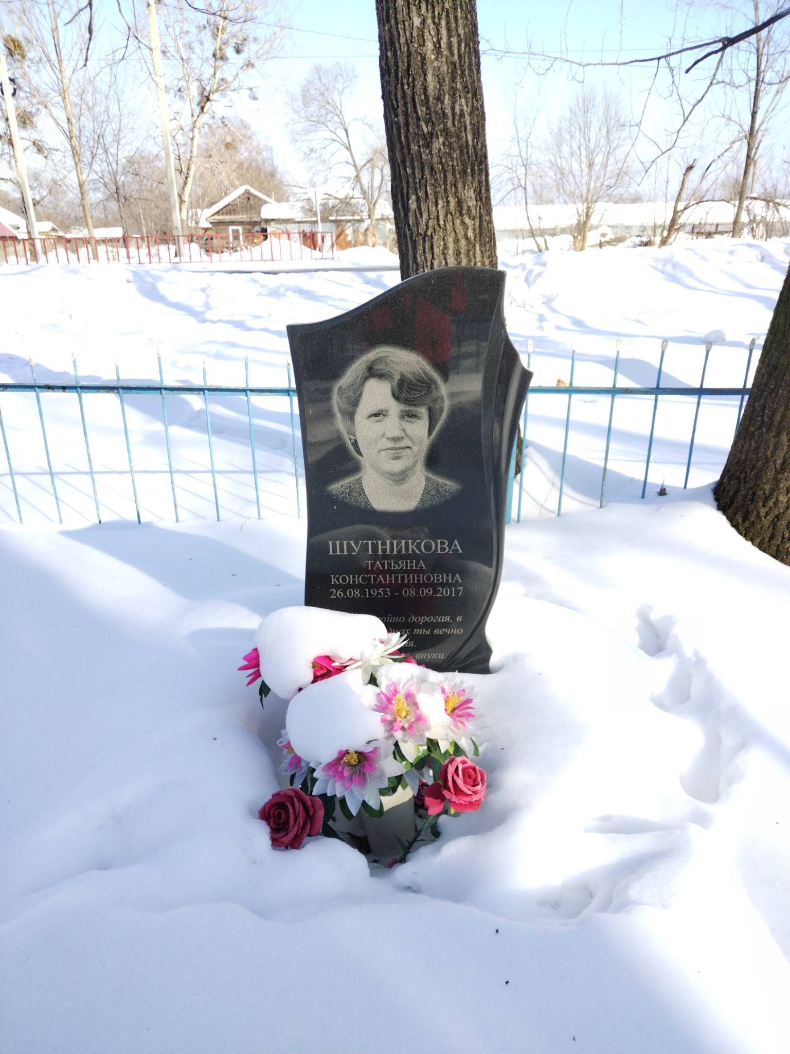 Шутникова Татьяна Константиновна