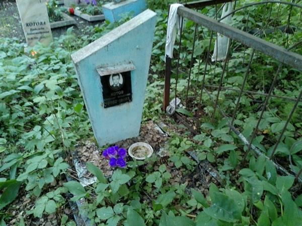 Котов Александр Михайлович