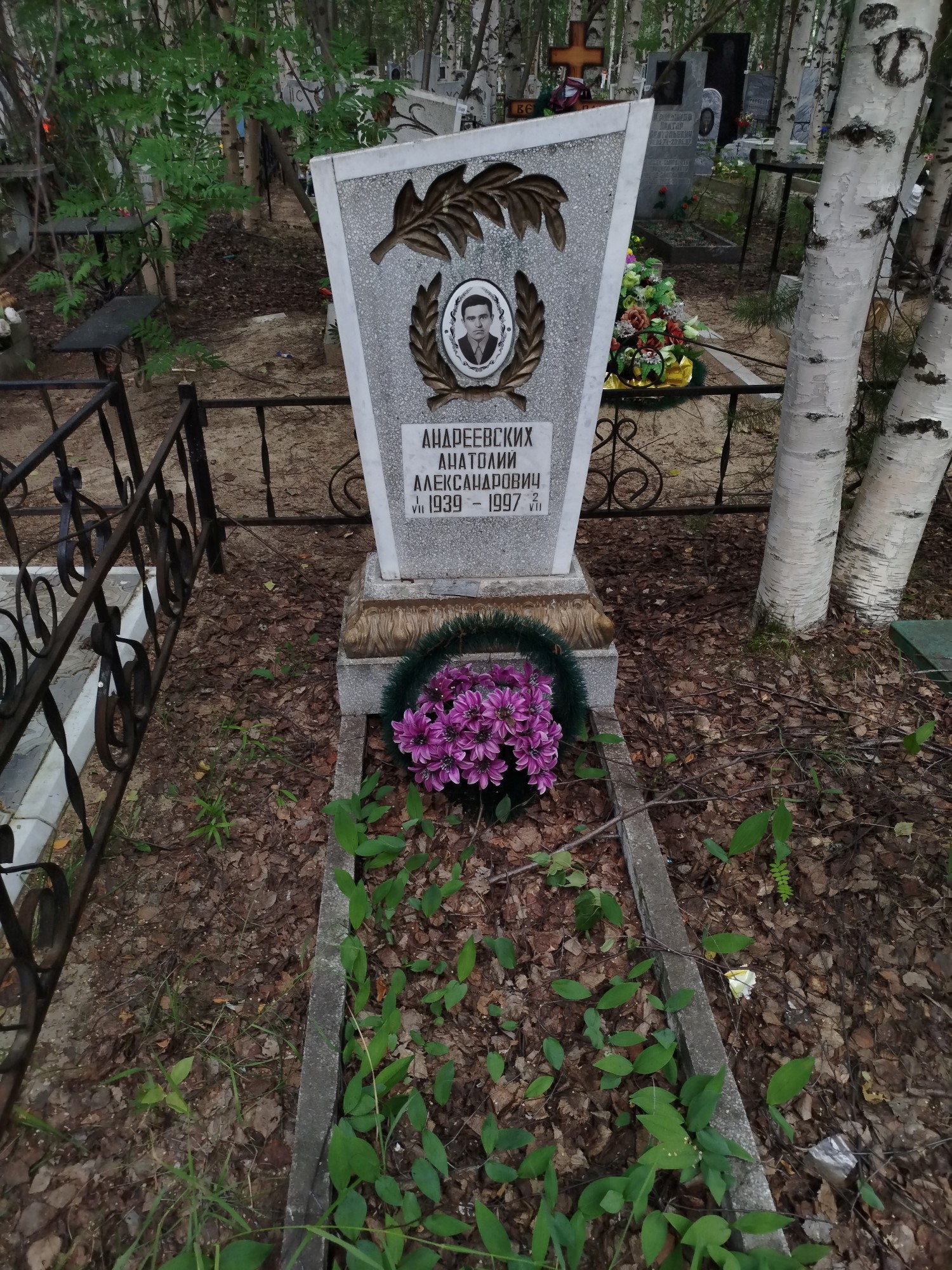 Андреевских Анатолий Александрович