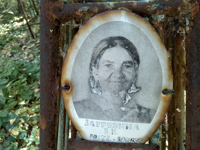 Е Загребина Н