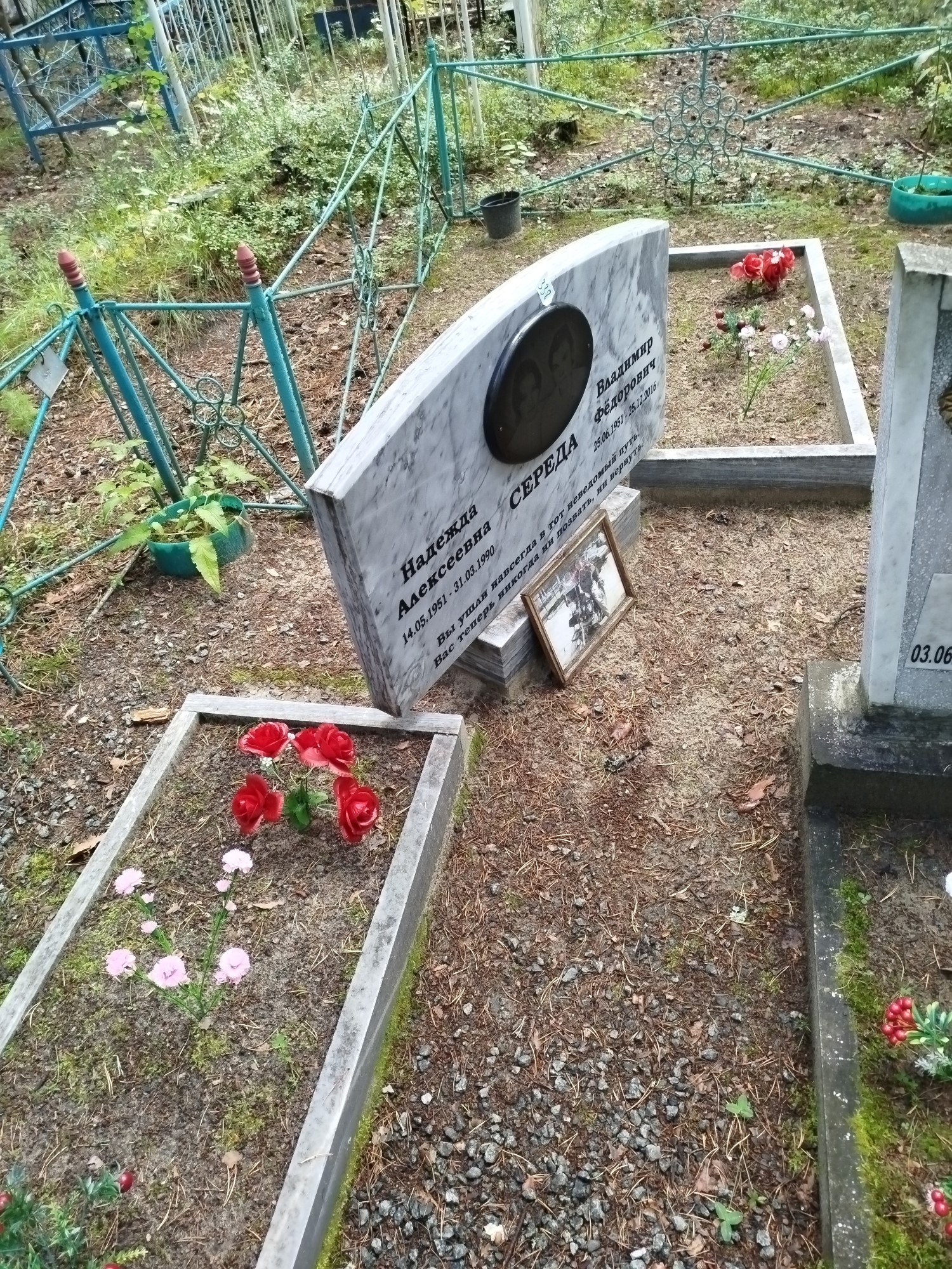 Середа Надежда Алексеевна