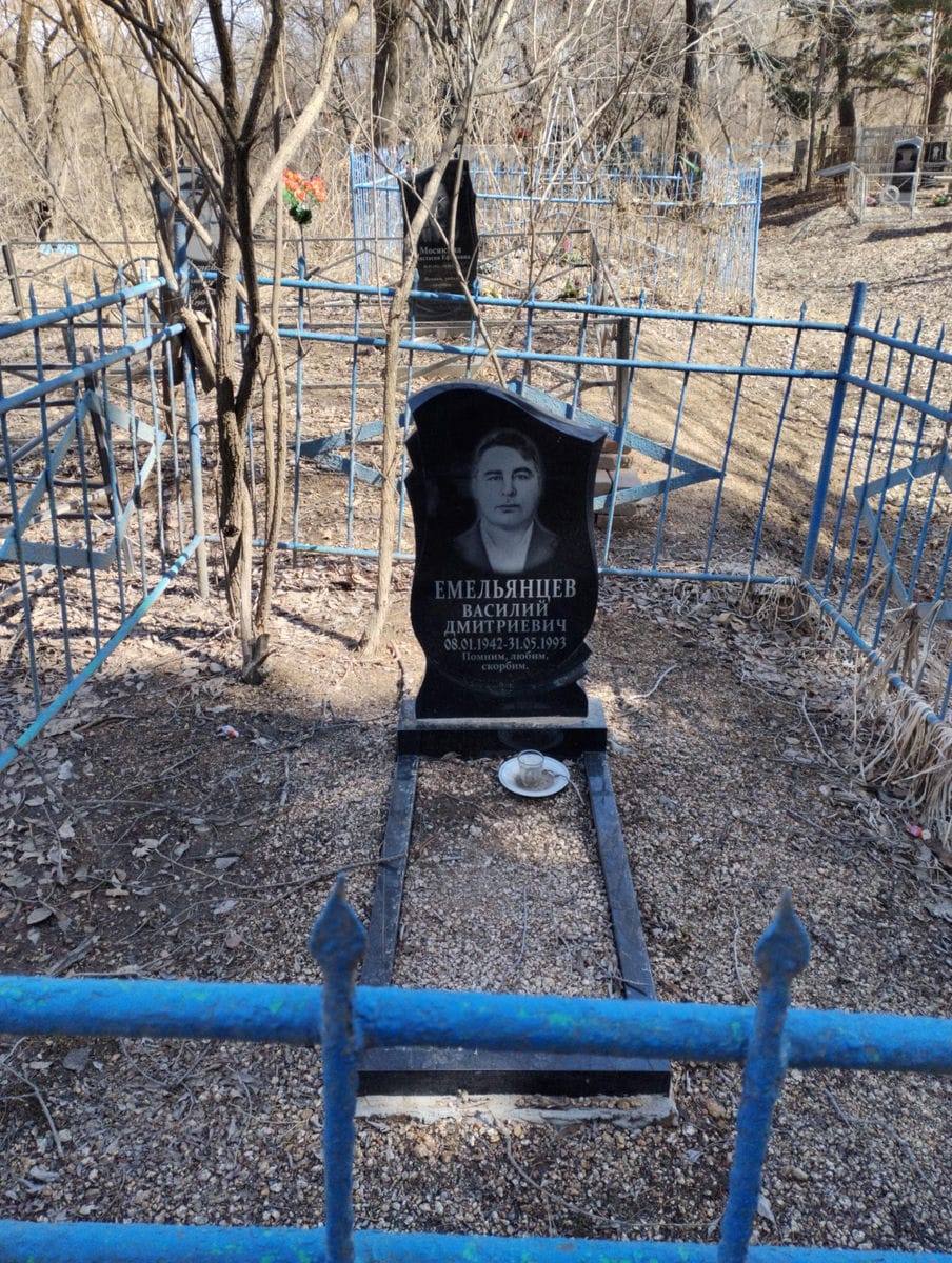 Емельянцев Василий Дмитриевич