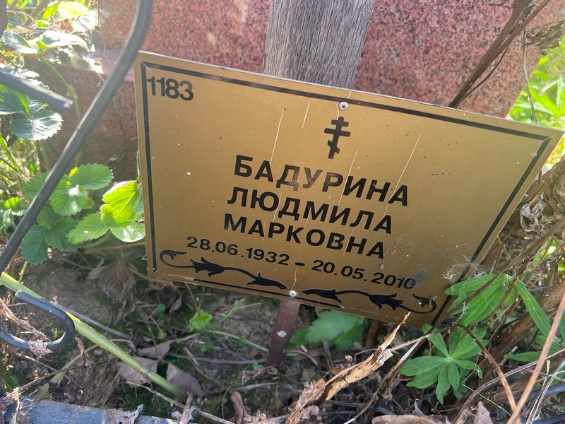 Бадурина