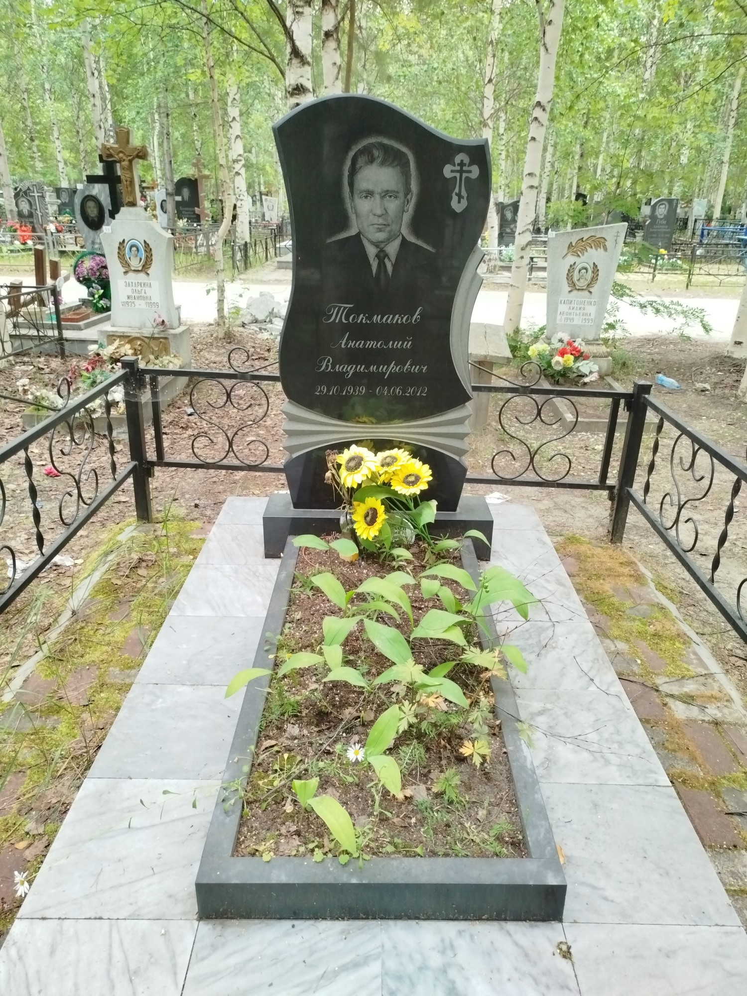 Токмаков Анатолий Владимирович