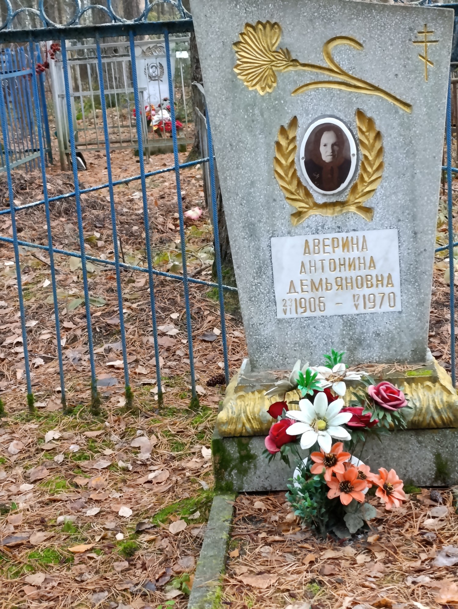 Аверина Антонина Демьяновна