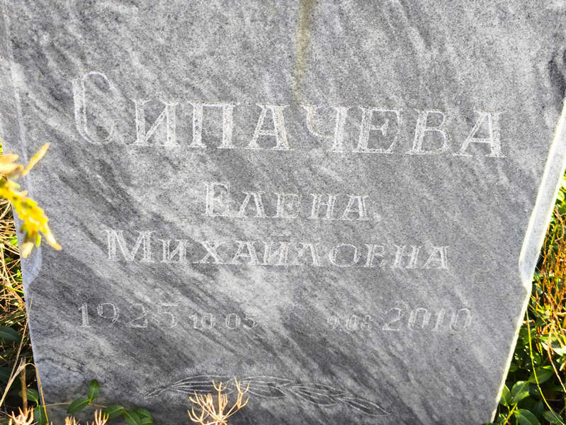 Сипачева