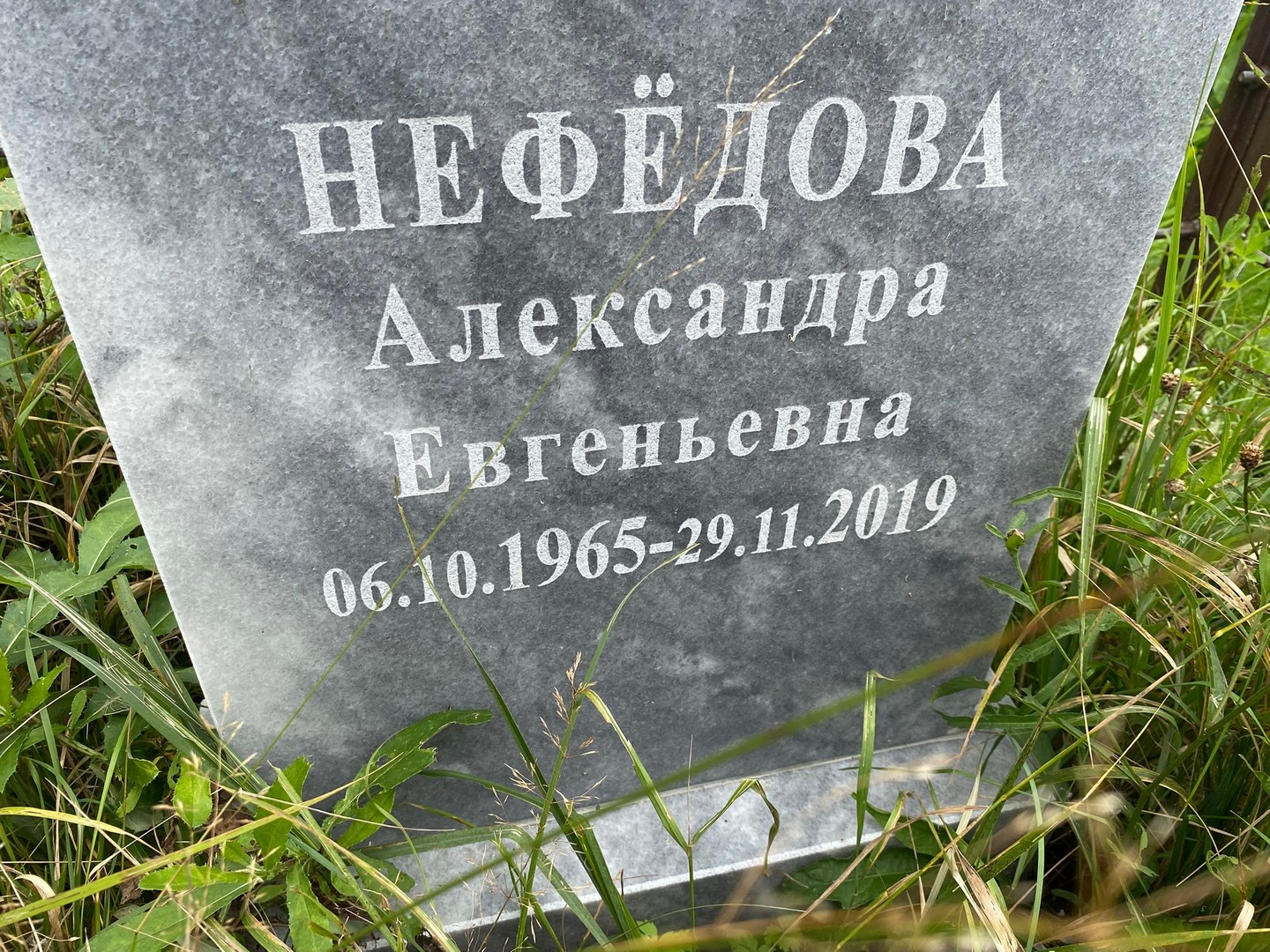 Нефедова Александра Евгеньевна
